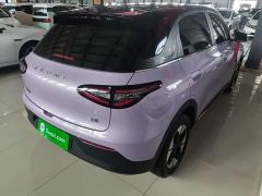 Geely Star Wish 410km Explorer Edition - ფოტო 6