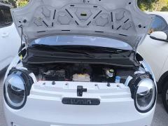 Changan Lumin Treasure Edition 205km Cool Love White CATL - ფოტო 19