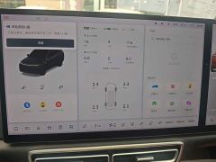 Li Auto L8 Pro - ფოტო 11