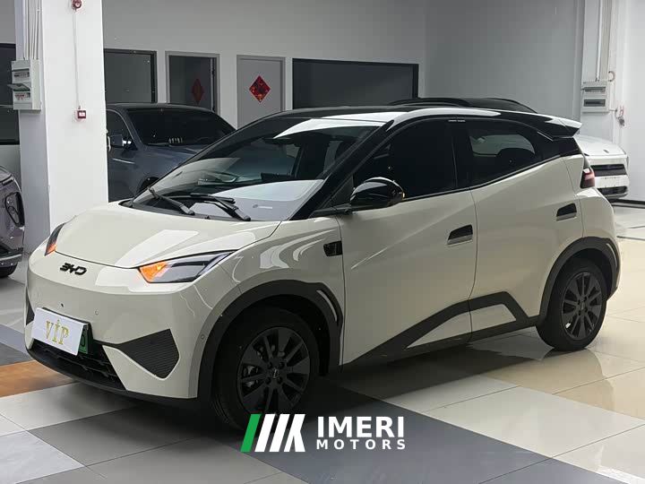 BYD Seagull 305km Freedom Edition - ავტომობილი ჩინეთიდან