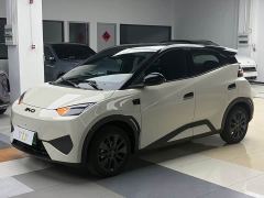 BYD Seagull 305km Freedom Edition - ფოტო 1