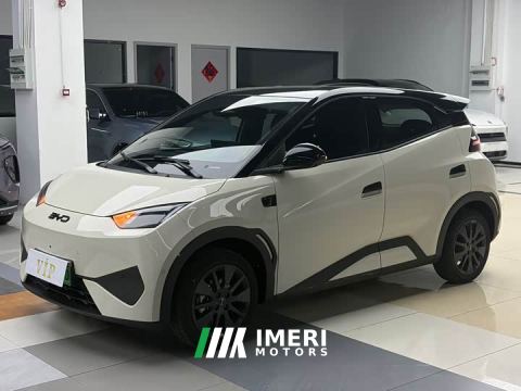 2026 BYD Seagull 305km Freedom Edition