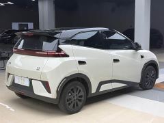 BYD Seagull 305km Freedom Edition - ფოტო 6