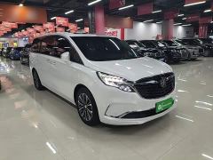 Buick GL8 ES Land Respect 653T Luxury - ფოტო 3