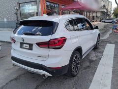 BMW X1 xDrive25Li Luxury - ფოტო 6