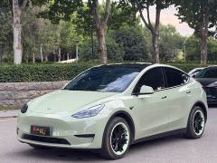 Tesla Model Y Rear-Wheel Drive - фото 1