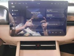 AITO M7 1.5T Intelligent Driving RWD Pro 5-Seater - photo 11