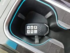 Honda Elysion 2.0L e:HEV Luxury Prestige Edition - photo 8