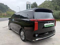 Great Wall WEY Shanshan New Energy Four-Wheel Drive Shanshan 9 - ფოტო 11