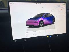 Tesla Model Y Rear-Wheel Drive - ფოტო 12