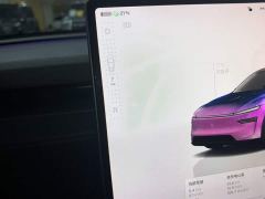 Tesla Model Y Rear-Wheel Drive - ფოტო 13