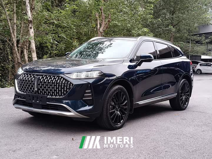 Great Wall Wei Brand Mocha 2.0T Two-Wheel Drive Rich Edition - ავტომობილი ჩინეთიდან