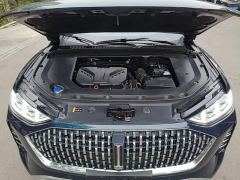 Great Wall Wei Brand Mocha 2.0T Two-Wheel Drive Rich Edition - ფოტო 19