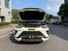 Haval H6S 2.0T Two-Wheel Drive Smart Edition - photo 18