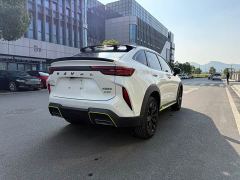 Haval H6S 2.0T Two-Wheel Drive Smart Edition - photo 5