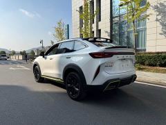 Haval H6S 2.0T Two-Wheel Drive Smart Edition - photo 7