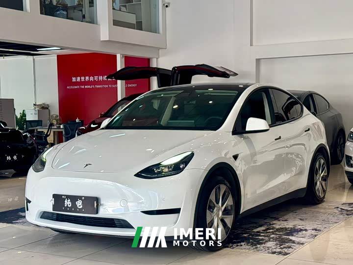 Tesla Model Y Rear-Wheel Drive - ავტომობილი ჩინეთიდან