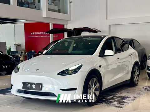 2022 Tesla Model Y Rear-Wheel Drive - ავტომობილი ჩინეთიდან