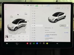 Tesla Model Y Rear-Wheel Drive - ფოტო 16