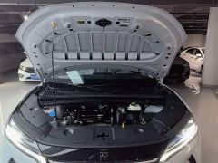 BYD Yuan UP Smart Drive 401KM Leading Edition - ფოტო 19