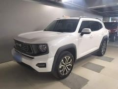 Haval Big Dog PLUS 2.0T Two-Wheel Drive Trendy Wilderness Edition Plus - photo 1
