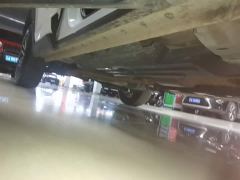 Haval Big Dog PLUS 2.0T Two-Wheel Drive Trendy Wilderness Edition Plus - photo 18