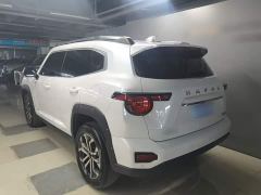 Haval Big Dog PLUS 2.0T Two-Wheel Drive Trendy Wilderness Edition Plus - photo 3