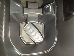 Haval Big Dog PLUS 2.0T Two-Wheel Drive Trendy Wilderness Edition Plus - photo 6