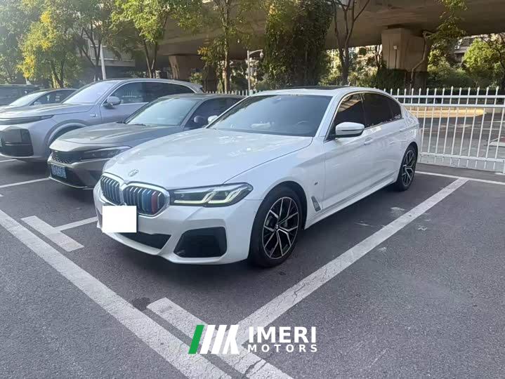 BMW 5 Series 530Li Luxury M Sport Package - car from China