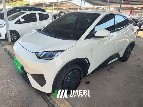2025 BYD Seagull 305km Vitality Edition - ავტომობილი ჩინეთიდან