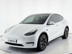 Tesla Model Y Long Range All-Wheel Drive - ფოტო 1