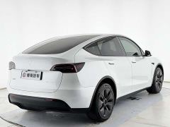 Tesla Model Y Long Range All-Wheel Drive - ფოტო 13