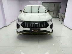 Haval Chitu Jingxiang Edition 1.5T Purple Copper Rabbit - фото 2