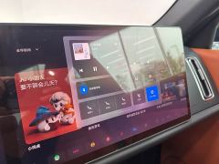 Li Auto L7 Air - photo 11