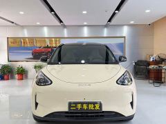 Geely Xing Yuan UP 410km Explorer Edition - photo 2