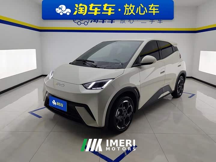 BYD Seagull 305km Freedom Edition - car from China