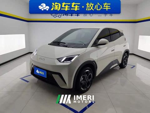 2025 BYD Seagull 305km Freedom Edition - ავტომობილი ჩინეთიდან