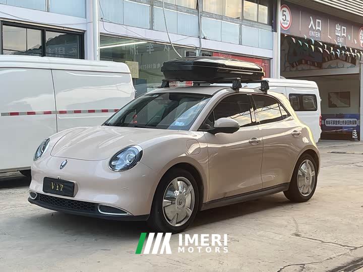 ORA Good Cat 401km Standard Range Luxury LFP - автомобиль из Китая