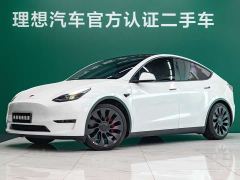 Tesla Model Y High Performance All-Wheel Drive - фото 1