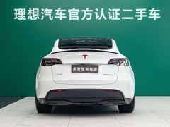 Tesla Model Y High Performance All-Wheel Drive - фото 4