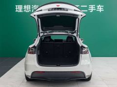 Tesla Model Y High Performance All-Wheel Drive - фото 5