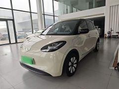 Wuling Binguo 333km Lingxi Connected Edition - фото 1