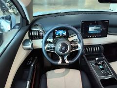 BYD Yuan Plus 430KM Premium Edition - ფოტო 10