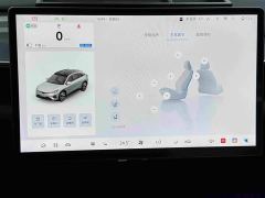 Arcfox Alpha T5 520 MAX - photo 20
