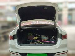 BYD Qin PLUS Champion Edition DM-i 120KM Leading - photo 15