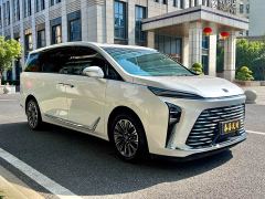 Buick GL8 Luzun Respect Edition - photo 3