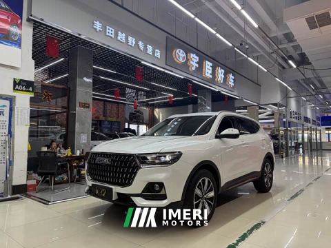 2024 Haval H6 National Trend Edition 1.5T Automatic Champion Version - car from China