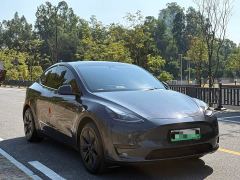 Tesla Model Y Rear-Wheel Drive - photo 3