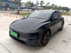Tesla Model Y Rear-Wheel Drive - фото 1