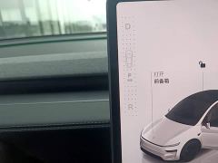 Tesla Model Y Rear-Wheel Drive - фото 13